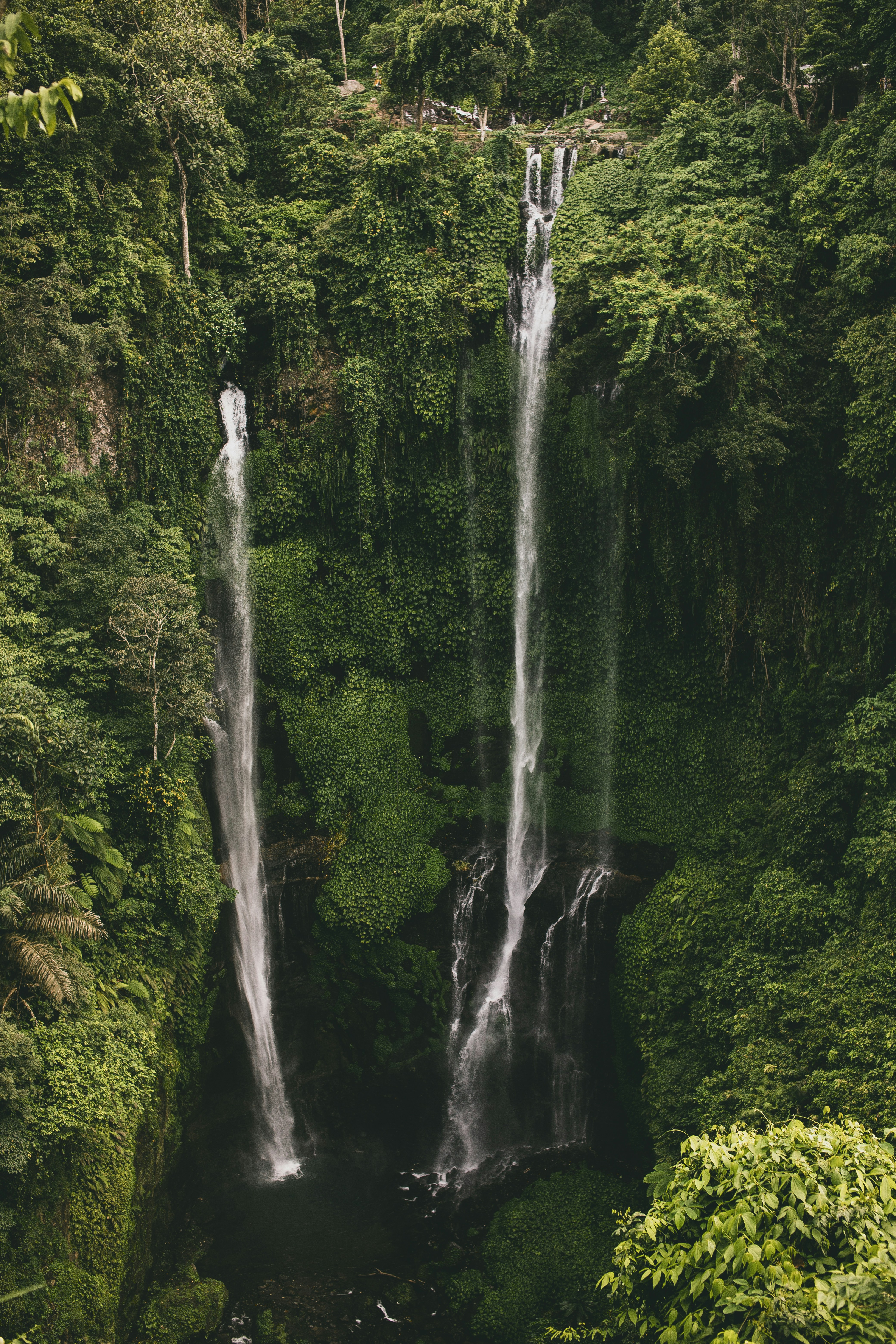 Twin Sekumpul Waterfall cascading through dense Bali jungle